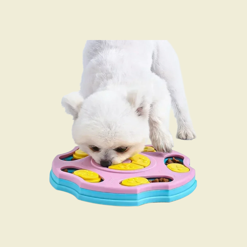PawGame