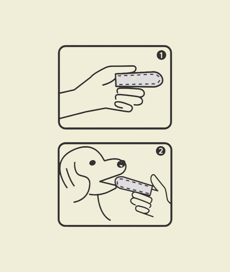 PawDent