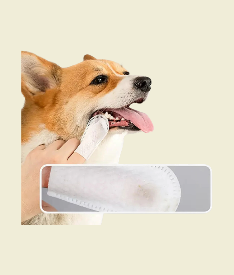 PawDent