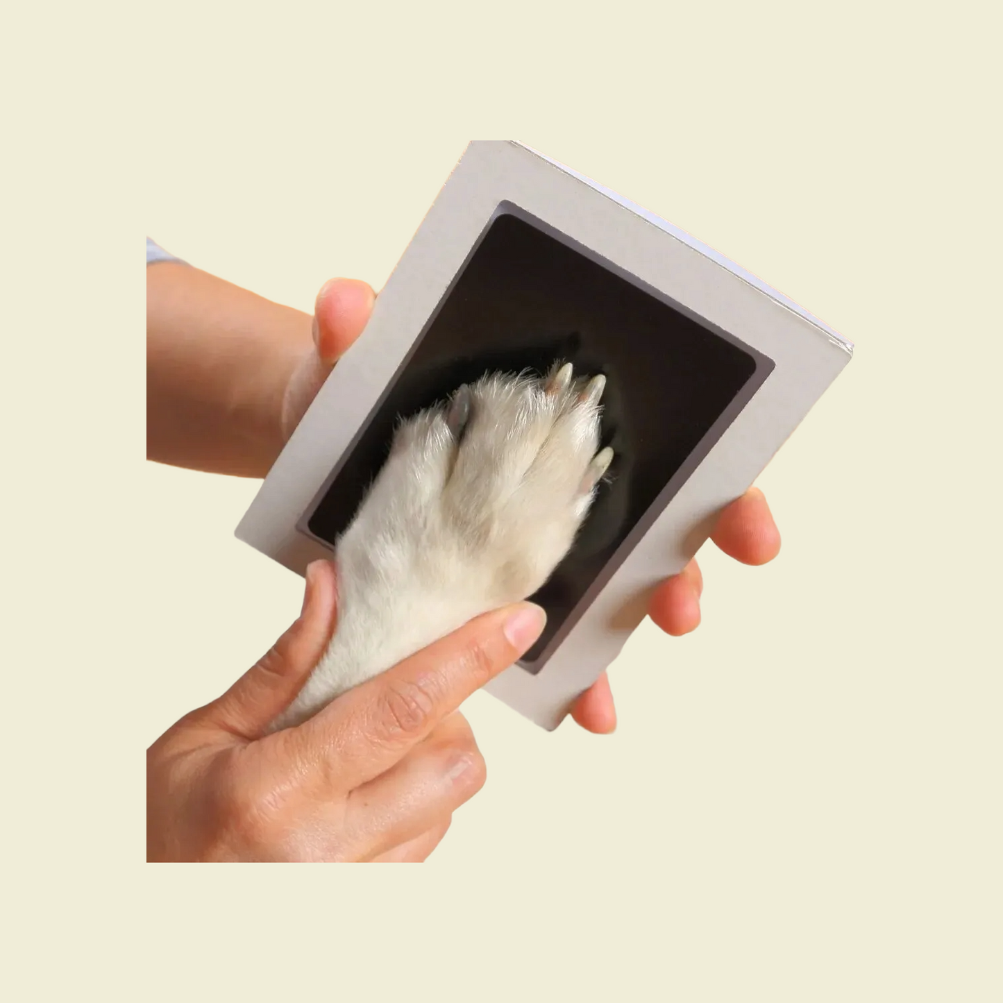 PawTouch