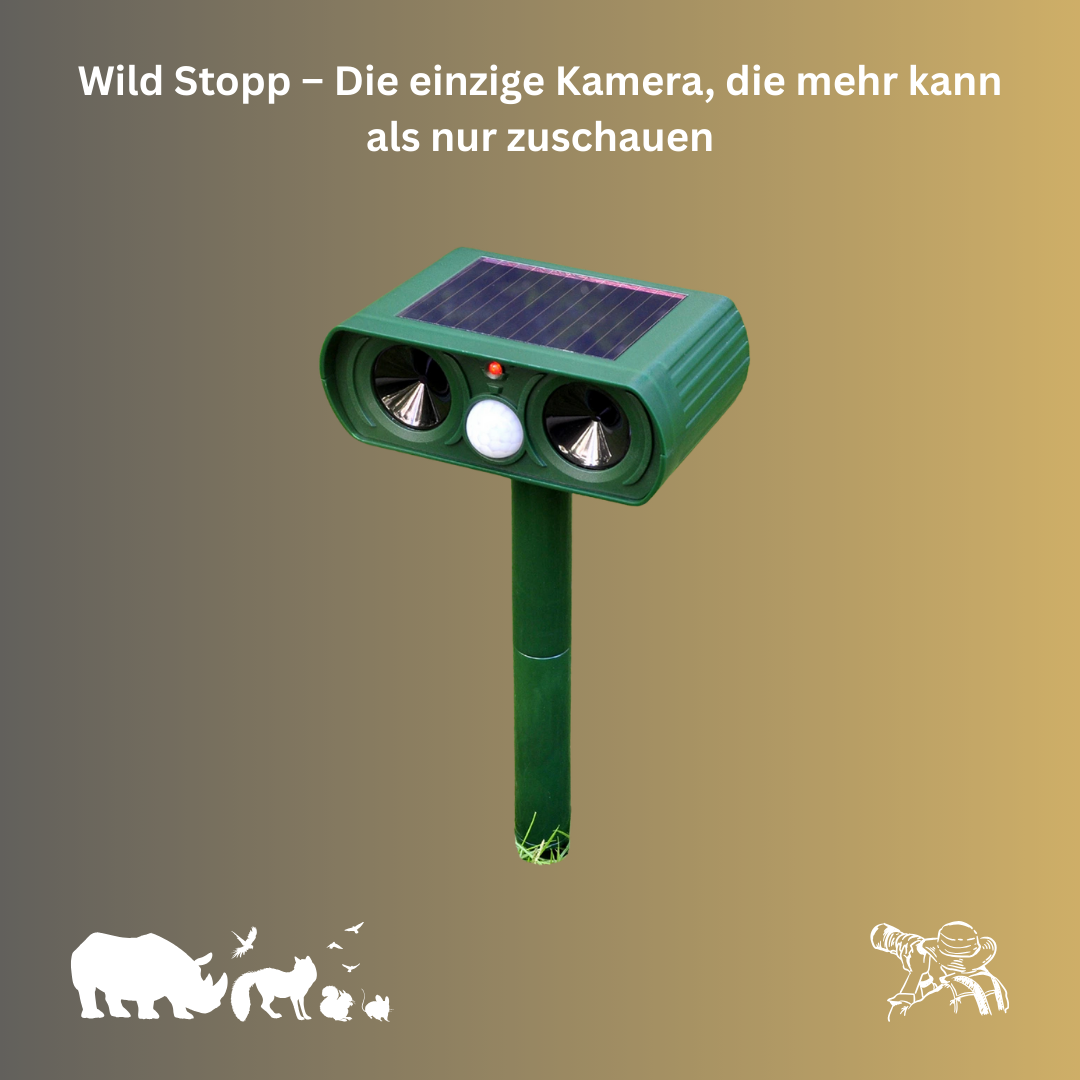Wild Stop