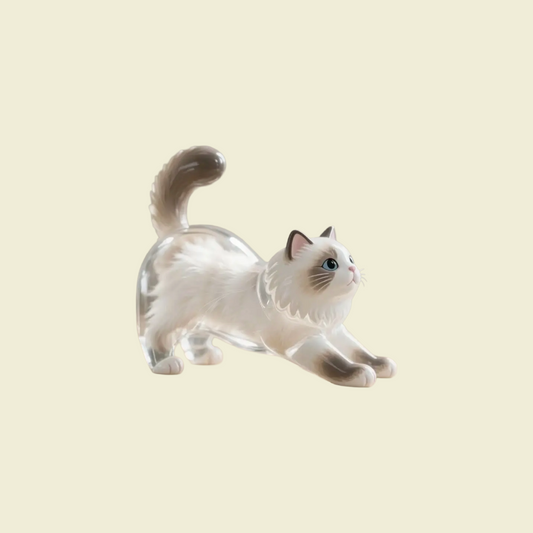 PawKey
