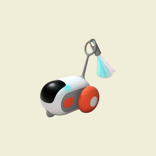 PawRacer