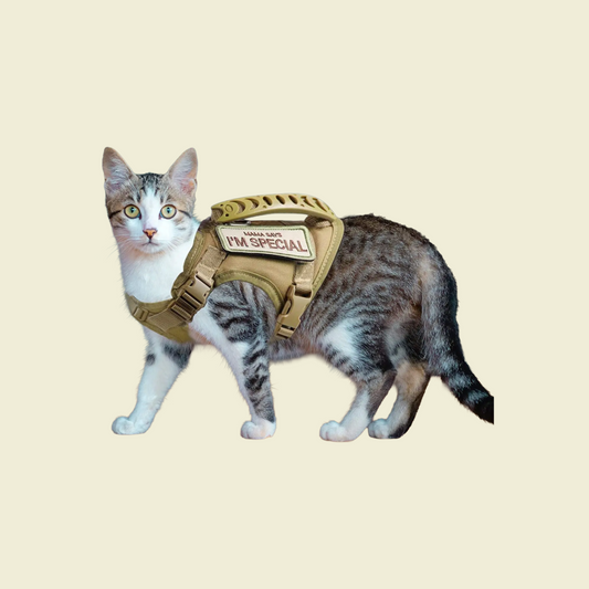 PawVest